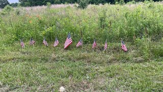 Chester community advocate wants more for abandoned African American cemetery