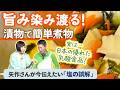 おいしい煮物の作り方!漬物がスーパー食材?
