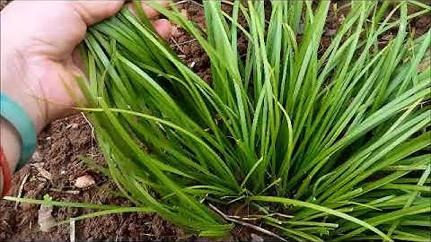 Qhia Tshuaj Zoo Stroke, Yog Mob Tuag Tes Tuag Taw, Mob Tuag Ib Sab Cev, Kuv Siv Lawm Zoo Heev