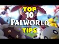 Top 10 Beginner Tips In Palworld (I Wish I Knew Sooner)