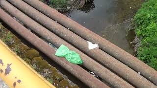 Tv Tera Bitola   Se zagaduva rekata kaj naselbata Bukovski livadi 21 04 2026