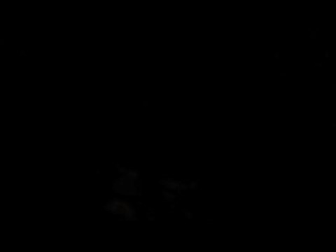 Pelnia top 100 movies of all time