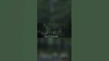 سورة الأحزاب | القارئ عمر سيلدينسكي