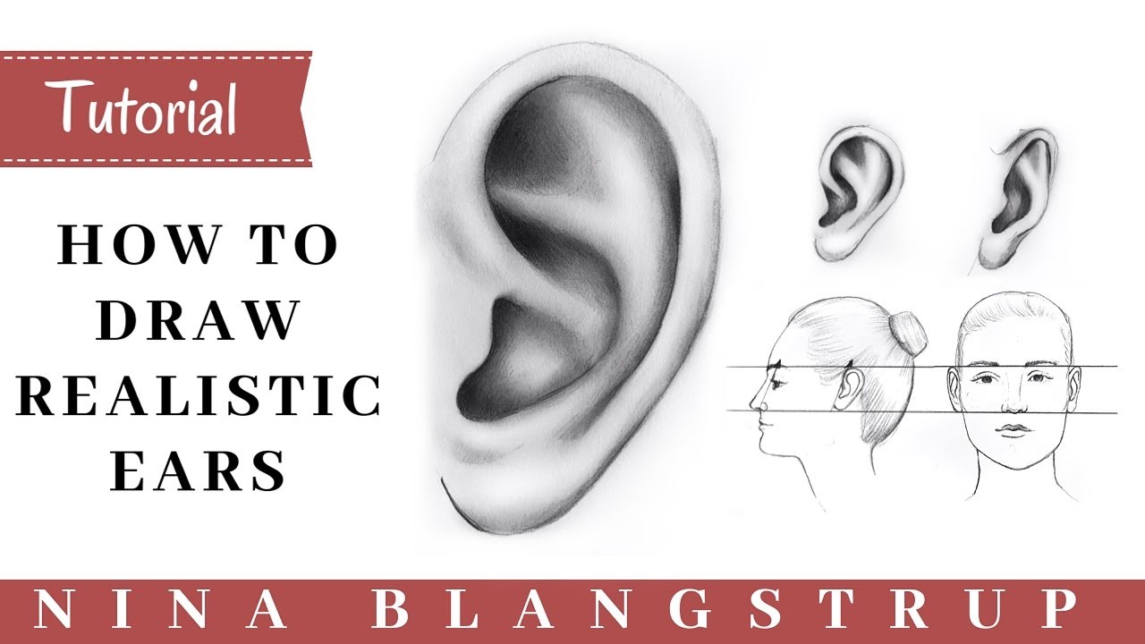 Featured image of post How To Draw Realistic Ears Front View Drawing human ears is a very difficult thing to learn