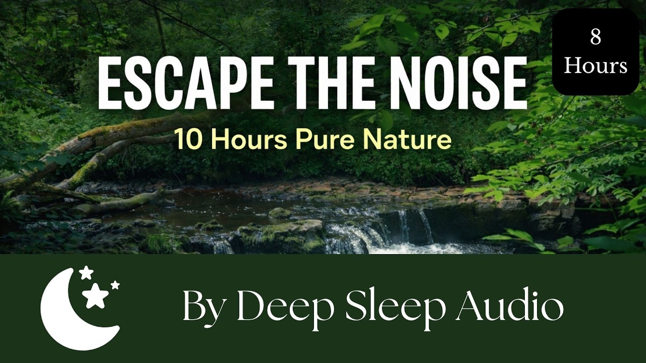 Ultimate Relaxation: 8 Hours of Waterfall & Birds Sounds