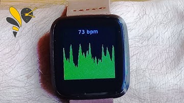 wasp-os: Open source heart rate monitoring for Pine64 PineTime