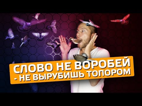 Слово не воробей - не вырубишь топором. Cоционика