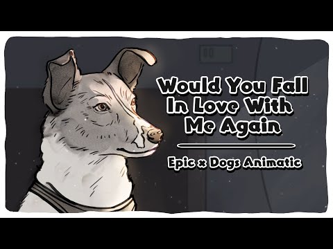 Would You Fall in Love With Me Again | EPIC x Dogs Animatic