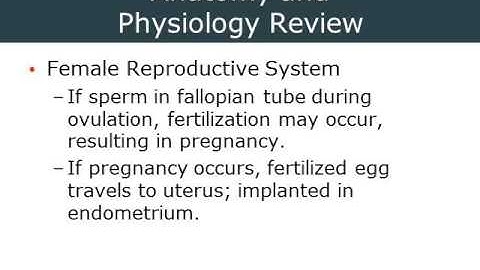 2014 01 29 13 32 AEMT Ch 25 Part 1
