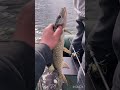 Первый мой сезон в роли рыбака #fishing #рыбалканаозере #рыбалка #music #природа 🎣😍👌