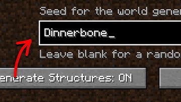 what if you enter a "Dinnerbone" seed and create a world?
