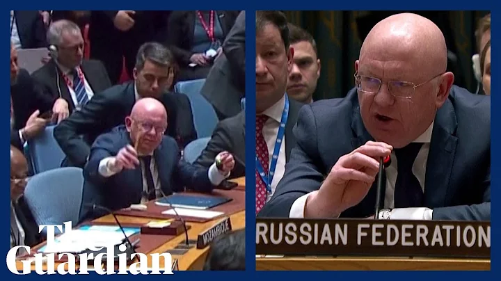 Russia interrupts minute's silence for victims of Ukraine war at UN security council meeting - DayDayNews