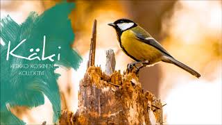 Kerkko Koskinen Kollektiivi - Käki