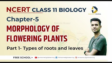Class 11 Biology Chapter 5 | Morphology of flowering plants |Part 1-Types of roots and leaves