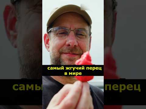 5 Шокирующих фактов о острой еде! И почему она вызывает зависимость? #wowfacts #Еда #остраяеда #чили