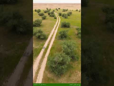 ربيع احدى الفياض في الحدقة الحدود الشمالية ١ ٤ ٢٠٢٥م ٣ ١٠ ١٤٤٦ه