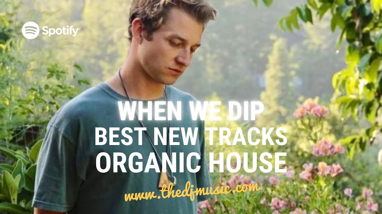 When We Dip Organic House Best New Tracks 20220826 YouTube