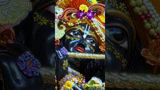 Suno Krishna pyare 🙏#krishnabhajan #krishnasong #krishnastatus #ytp #fypシ゚viral #spreadsmile