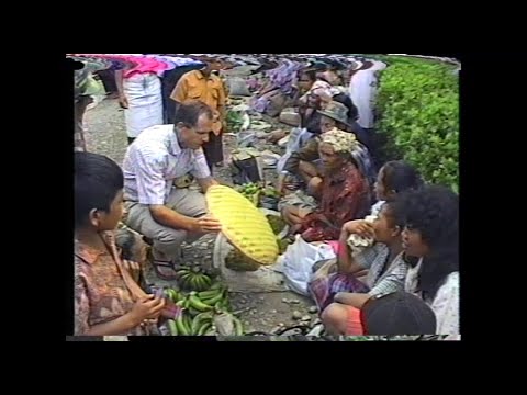 Video: Apa yang ditemukan pada tahun 1991?