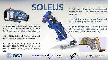 SOLEUS