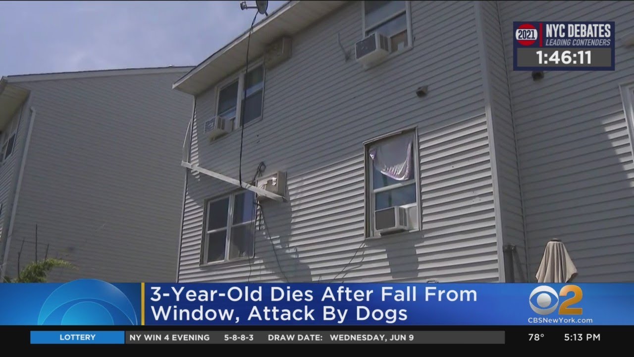 3-Year-Old Dies After Fall From Window, Dog Attack - YouTube