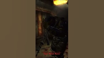 Hunting rifle vs super mutant master fallout 3