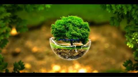 C Program to find whether entered character is vowel or consonant using if else condition