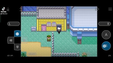 How to get Coin Case in Pokemon Emerald