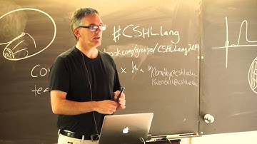 Dr. David Poeppel, New York University