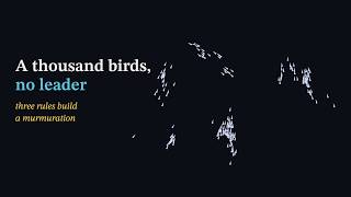 A Thousand Birds, No Leader