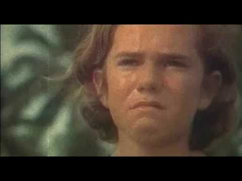 ВИА АРГОНАВТЫ - Печально Чайки Над Кормой Кружат (1976)