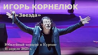 Игорь Корнелюк. Звезда. Юбилейный сольный концерт в Кургане. 11.04.2023.