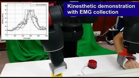 Simultaneously Encoding Movement and sEMG-based Stiffness for Robotic Skill Learning