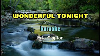 WONDERFUL TONIGHT - karaoke