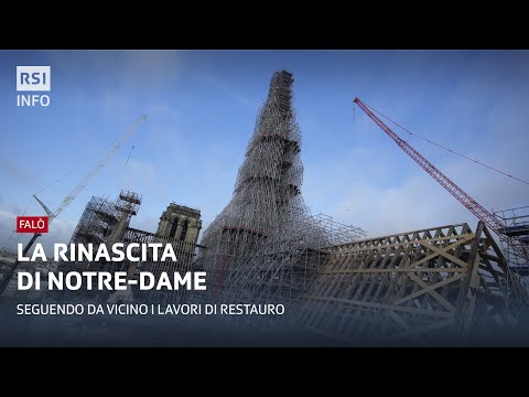 Video: Cattedrale di Notre Dame a Parigi: informazioni per i visitatori