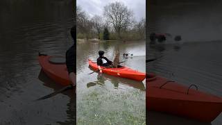 Flooded yard and an RC car 🏎️💨💦 #arrmakraton