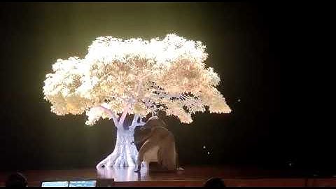 Video Mapping Dance Trio