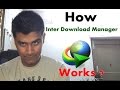 How internet Download Manager Works ? (In Hindi)