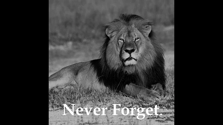 Tribute To Cecil