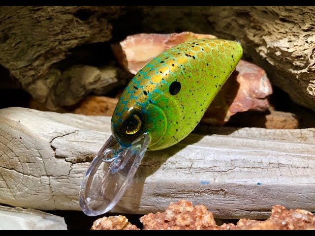 Lure Prep and Cleaning 101, FAQs, and Subscriber Photos!! 