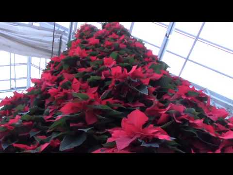 MSU Staff profiles: Dan Bulkowski