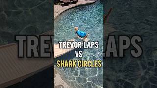 Backyard fetch with a shark, a pool, and water zoomies 💦🐾🐕 #dogs #dogshorts#funnycutedog