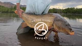 On-the-Water Report | Truckee River and area waters | late July 2026
