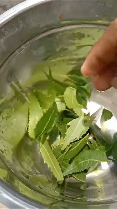 neem solution for lice. subscribe for more home remedies .#homeremedies #shorts