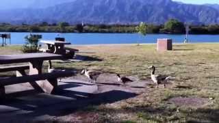 Quiet afternoon at Santa Fe Dam