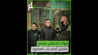 قوات الاحـ ـتـ ـلال تعتـ ـقل الطفلين عدي  ومحمد الحداد أمام باب العامود