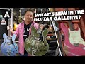 What&#39;s New in the Andertons Guitar Gallery!