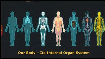 Our Body - Its Internal Organ System, Class 5 EVS SSC | Digital Teacher