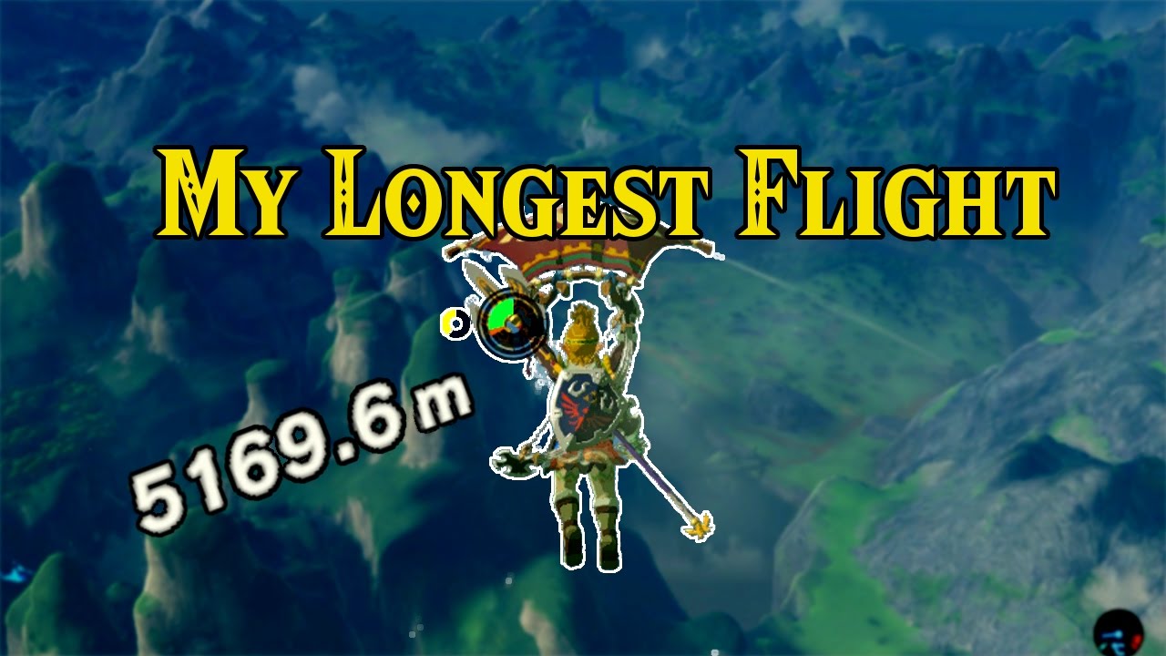 Breath Of The Wild Flight Training