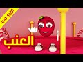العنب قناة بلبل  